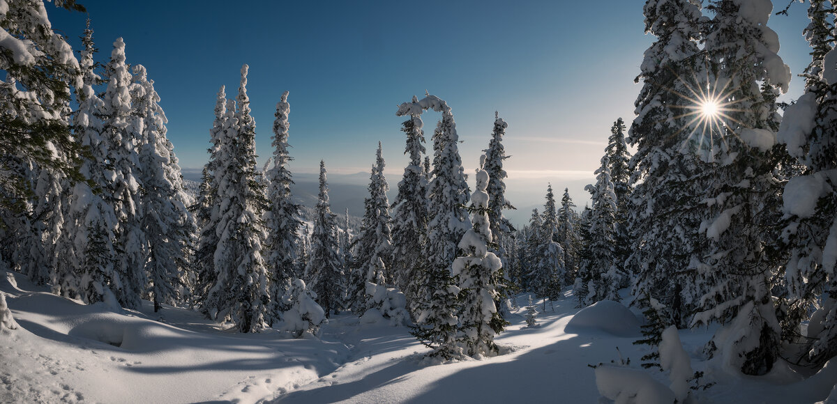 * - Александр Иванов
