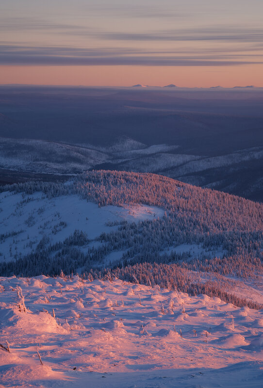 * - Александр Иванов * - Александр Иванов