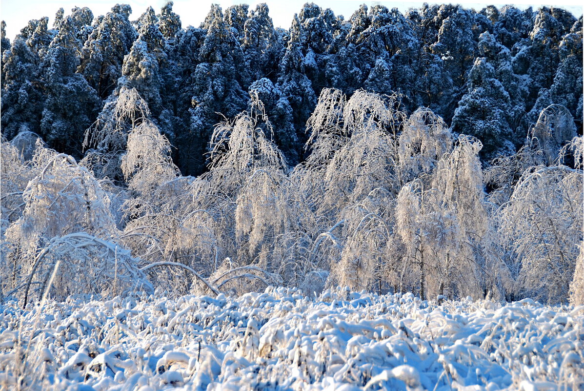 НЕРАВЕНСТВО - Юрий Вовк