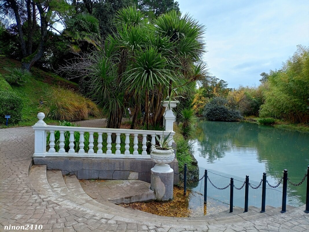 Адлер. Дендропарк "Южные культуры" - Нина Бутко Адлер. Дендропарк "Южные культуры" - Нина Бутко