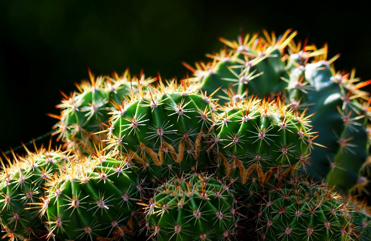 Февральским днём - Юрий. Шмаков Февральским днём - Юрий. Шмаков