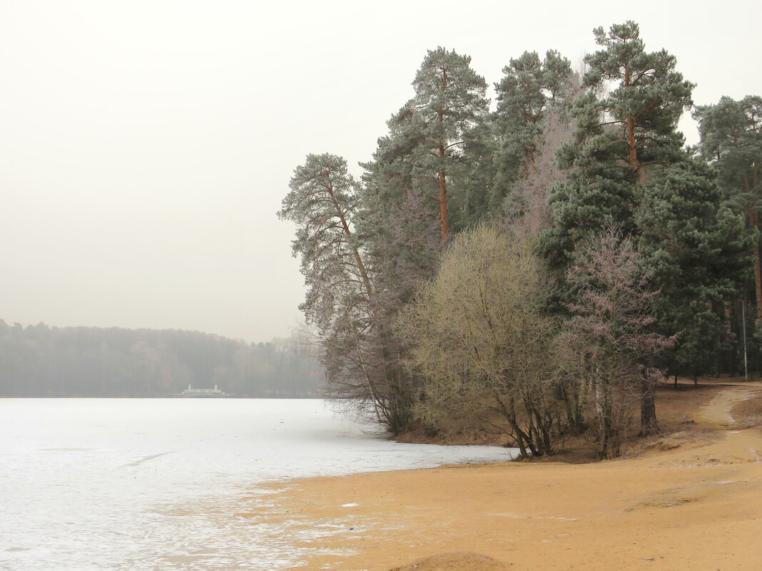 Зимний пляж - Андрей Снегерёв Зимний пляж - Андрей Снегерёв
