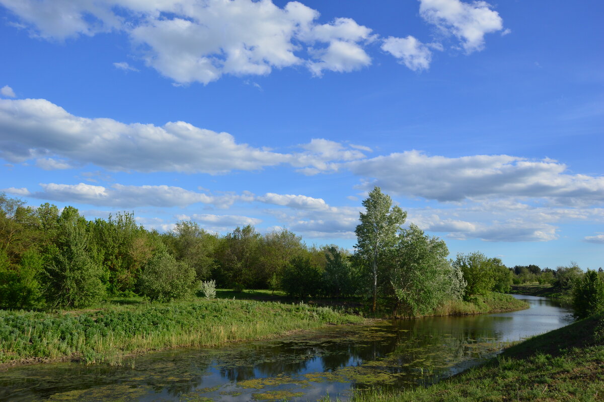 Донские виды. - Виктор Донские виды. - Виктор