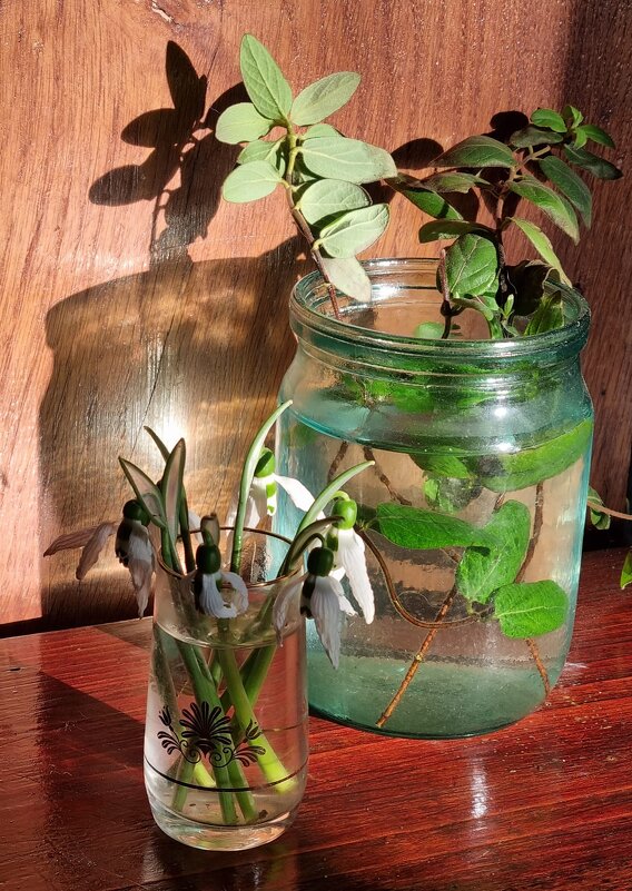 Утренний свет - Наталья 