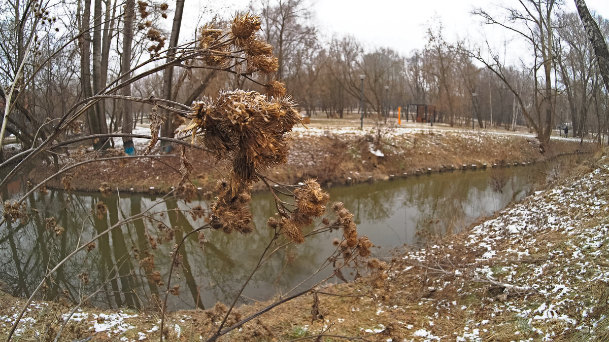 ***** - юрий поляков