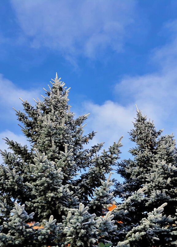 Чистое небо - Александр Кондаков