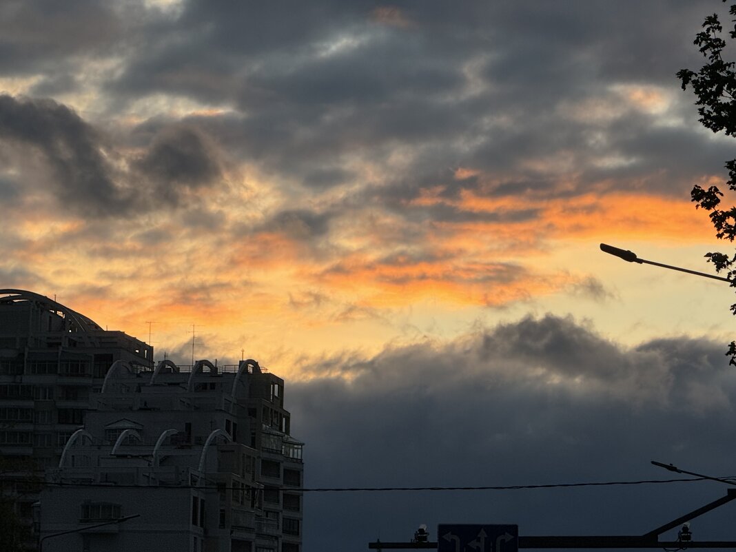 Краски неба - Анна Камс