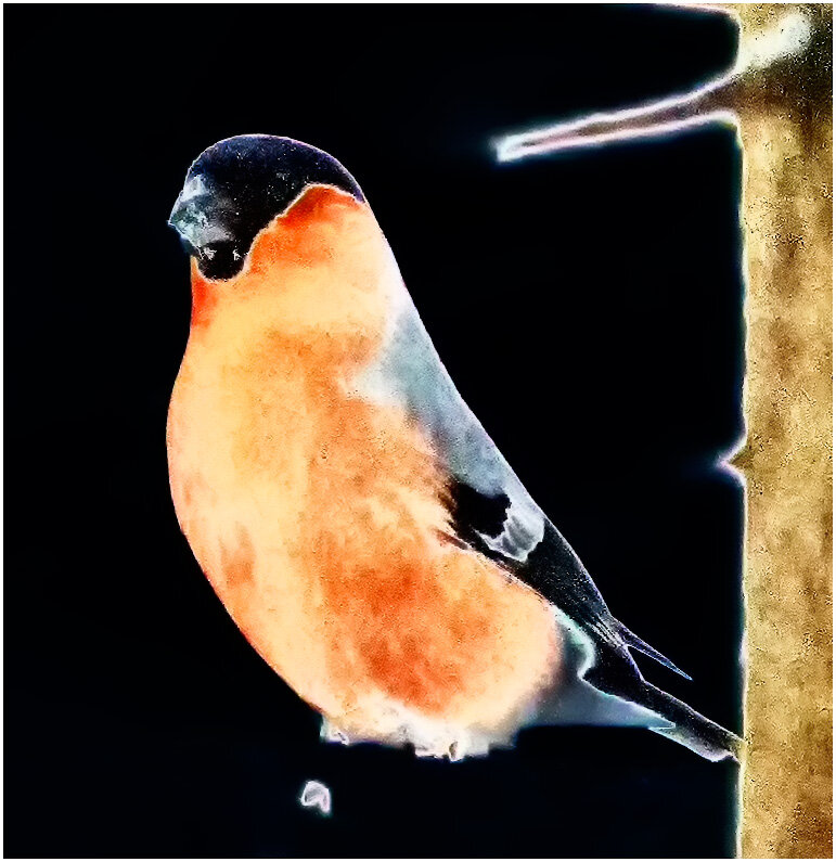 Снегирь - Валентин Котляров