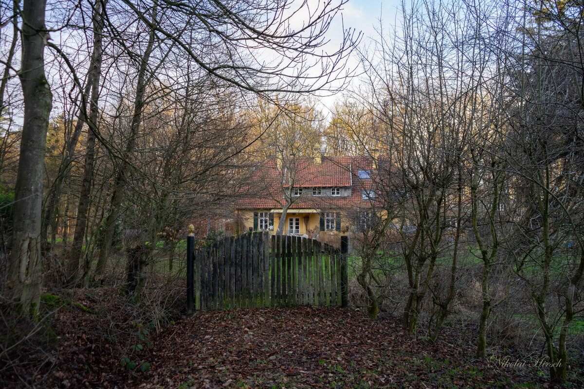 Дом лесника... - Николай Гирш Дом лесника... - Николай Гирш