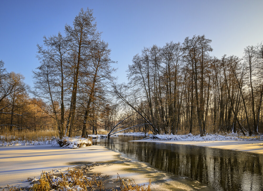 В закатном свете - Валерий VRN
