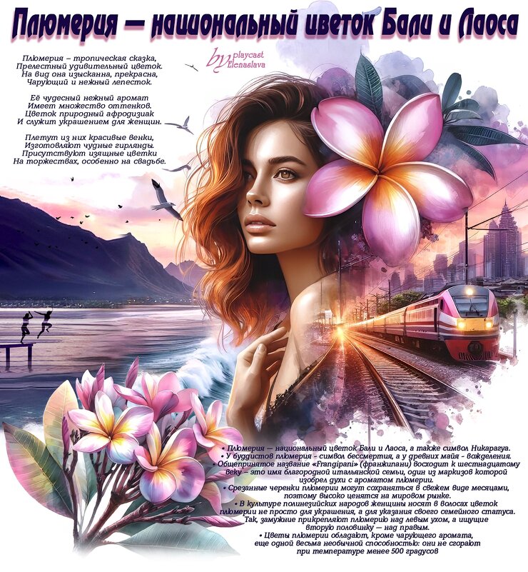 Плюмерия — национальный цветок Бали и Лаоса - elenaslava Плюмерия — национальный цветок Бали и Лаоса - elenaslava
