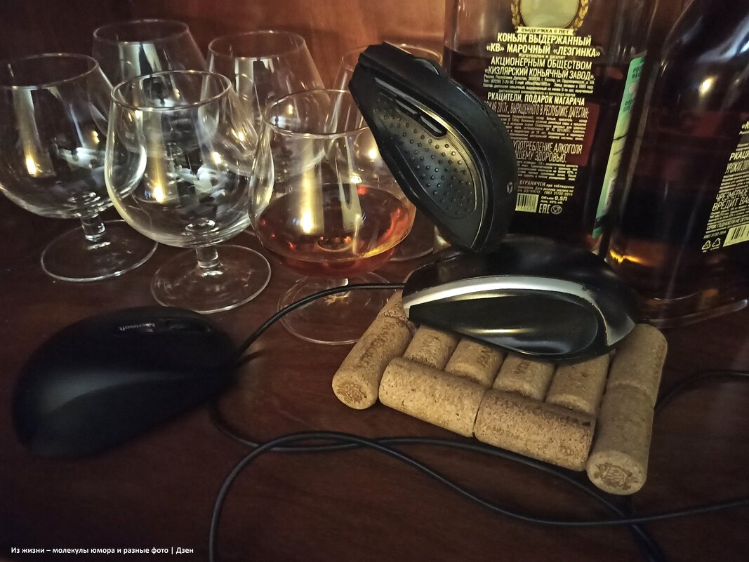 Из жизни мышек - svk * Из жизни мышек - svk *