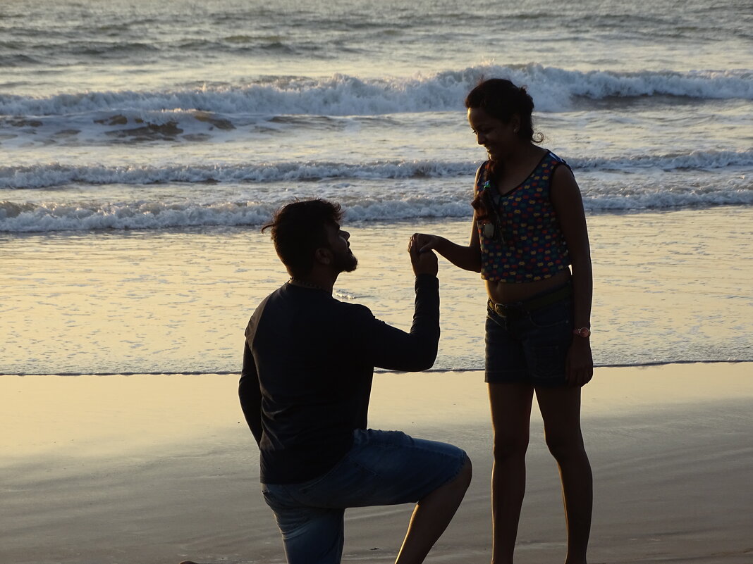 Предложение - Павел Трунцев