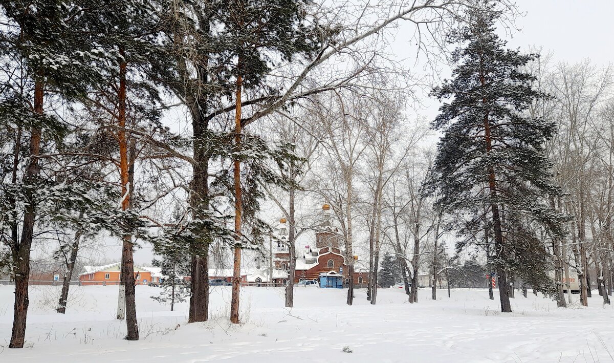 После снегопада . - Мила Бовкун После снегопада . - Мила Бовкун