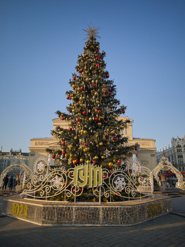 Ёлка у большого театра - Andrew 