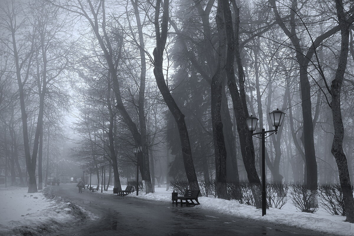 В парке Липки... - Владимир Шошин В парке Липки... - Владимир Шошин