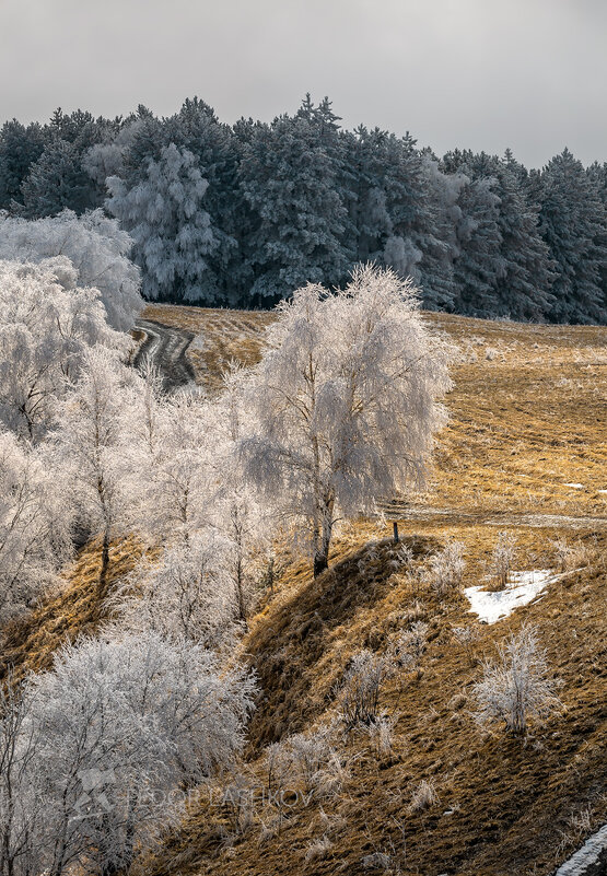 Серебро - Фёдор. Лашков