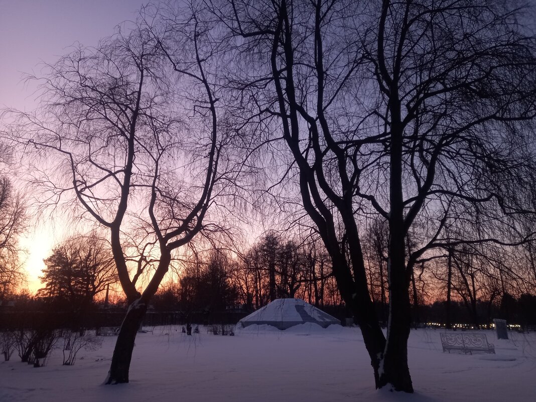 Закат - Сапсан 