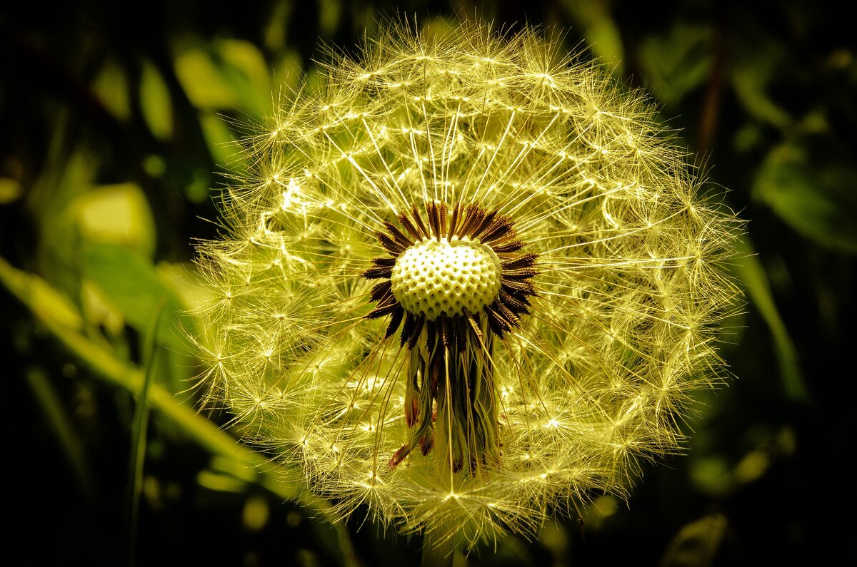 *** - Виктор Иванович Чернюк *** - Виктор Иванович Чернюк