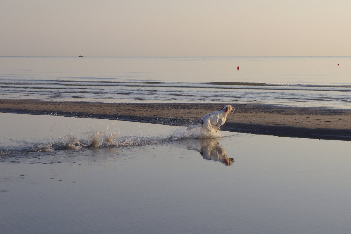 Водные процедуры - Сергей Швечков Водные процедуры - Сергей Швечков