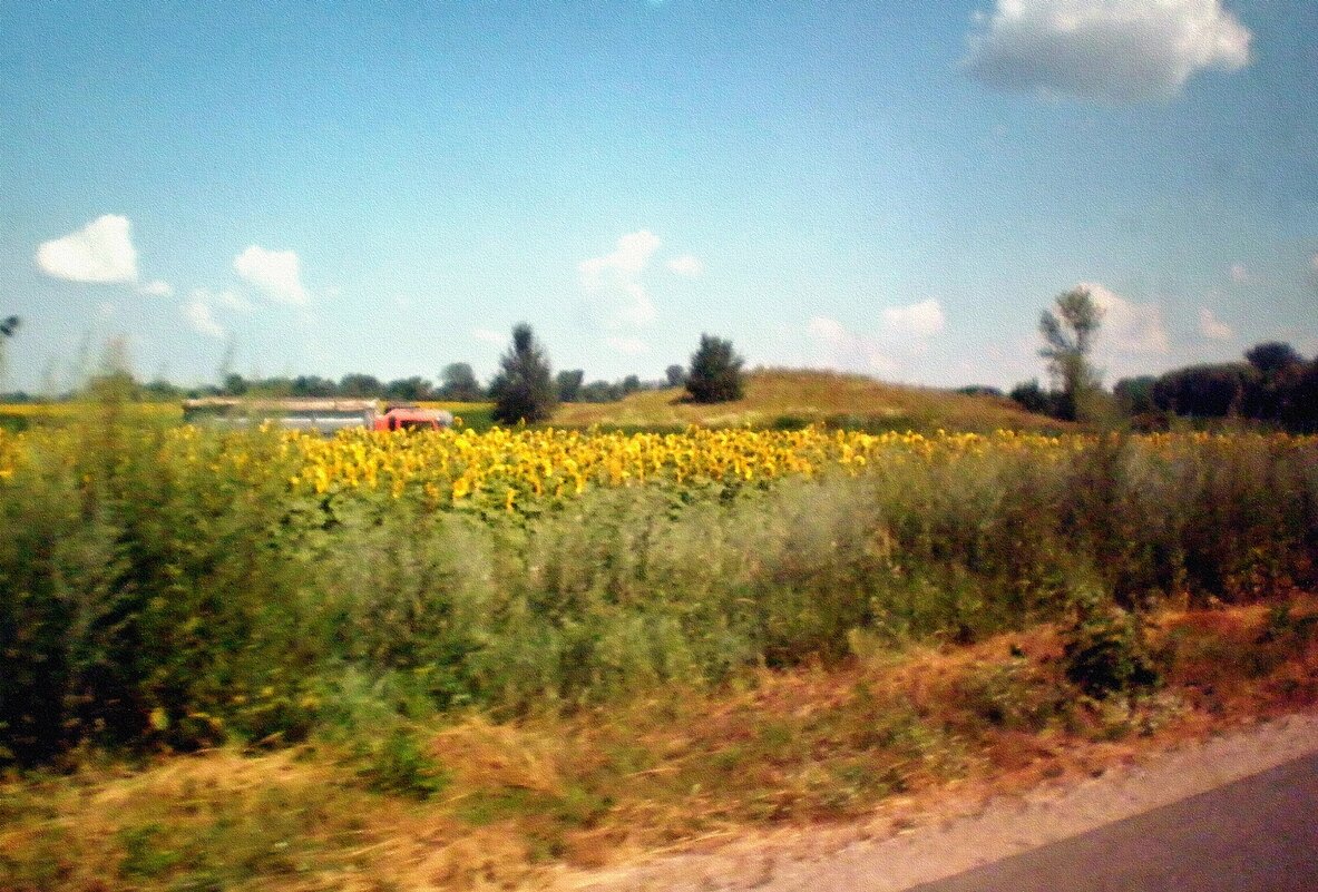 За окном автомобиля... - Роман Савоцкий