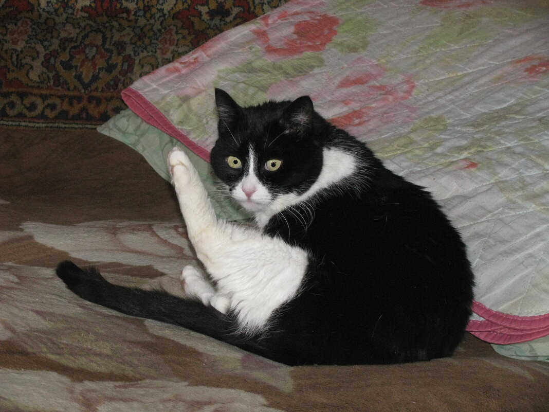 Не мешай мне мыться - Людмила Смородинская Не мешай мне мыться - Людмила Смородинская