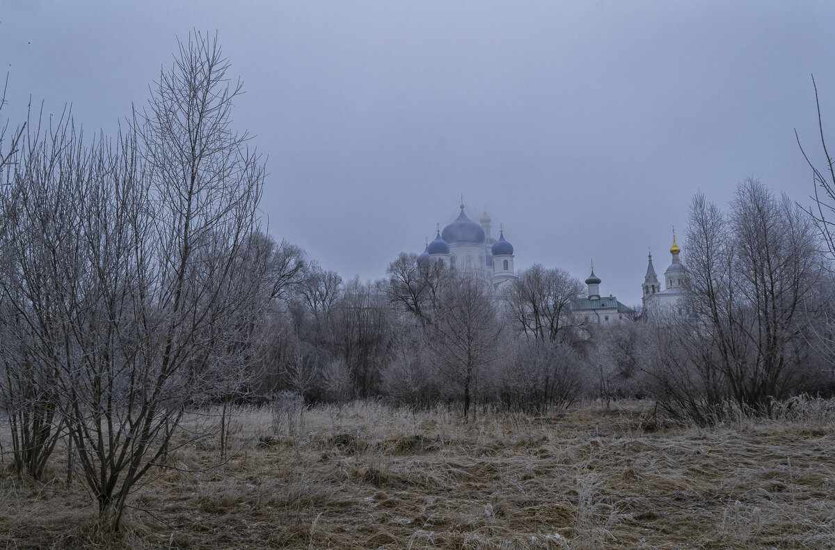 Туман и иней в феврале - Сергей Цветков Туман и иней в феврале - Сергей Цветков