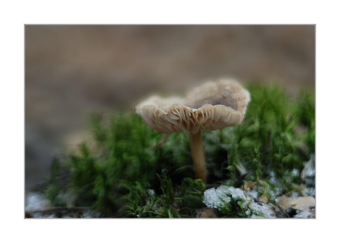 *** - Art __ *** - Art __