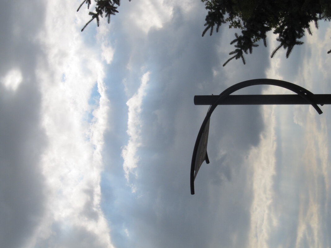 Нижний Тагил - Елена Шаламова