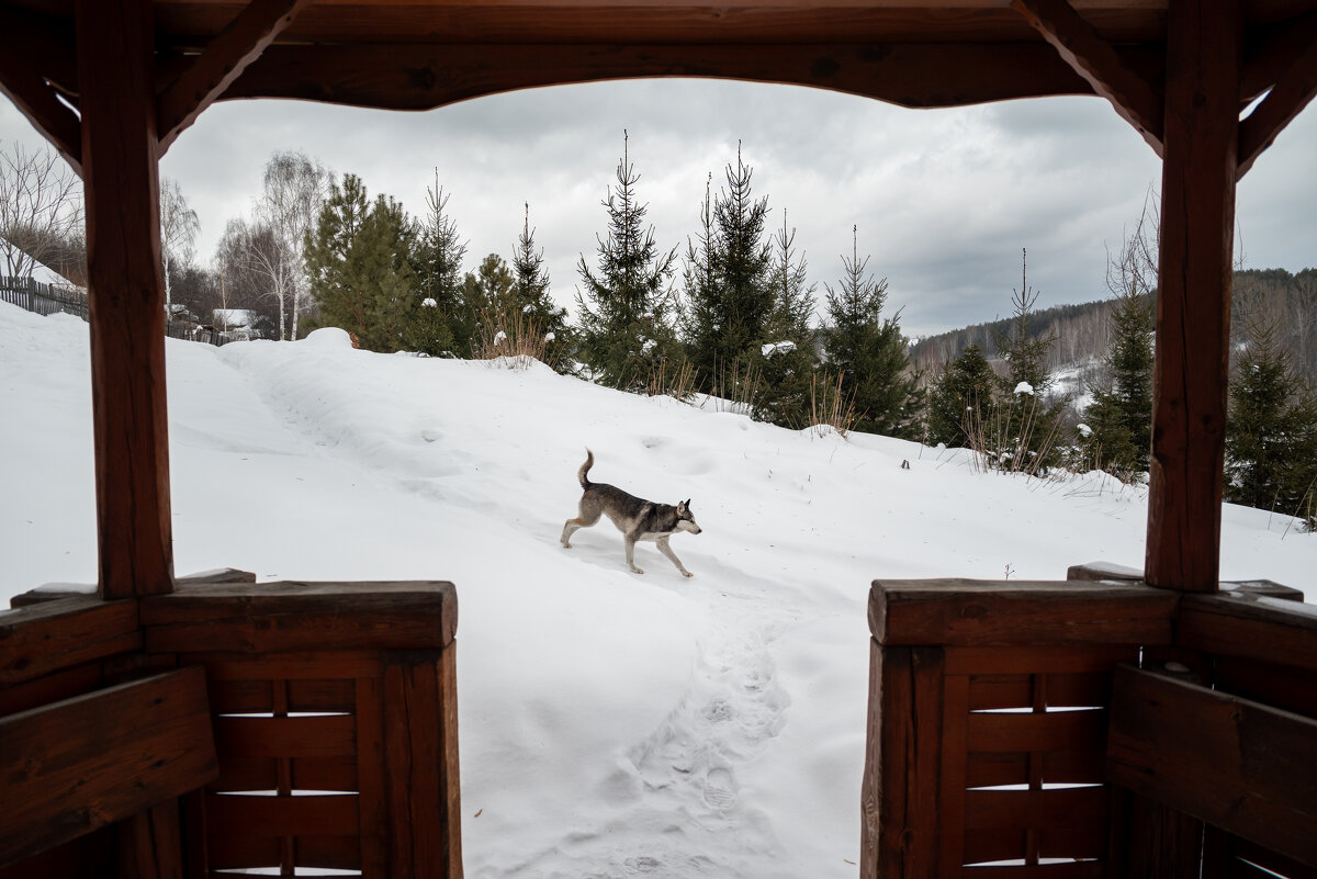 *** - Валерий Михмель 