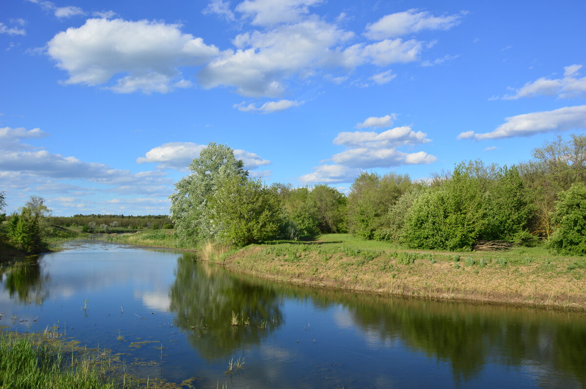 Отражение. - Виктор 