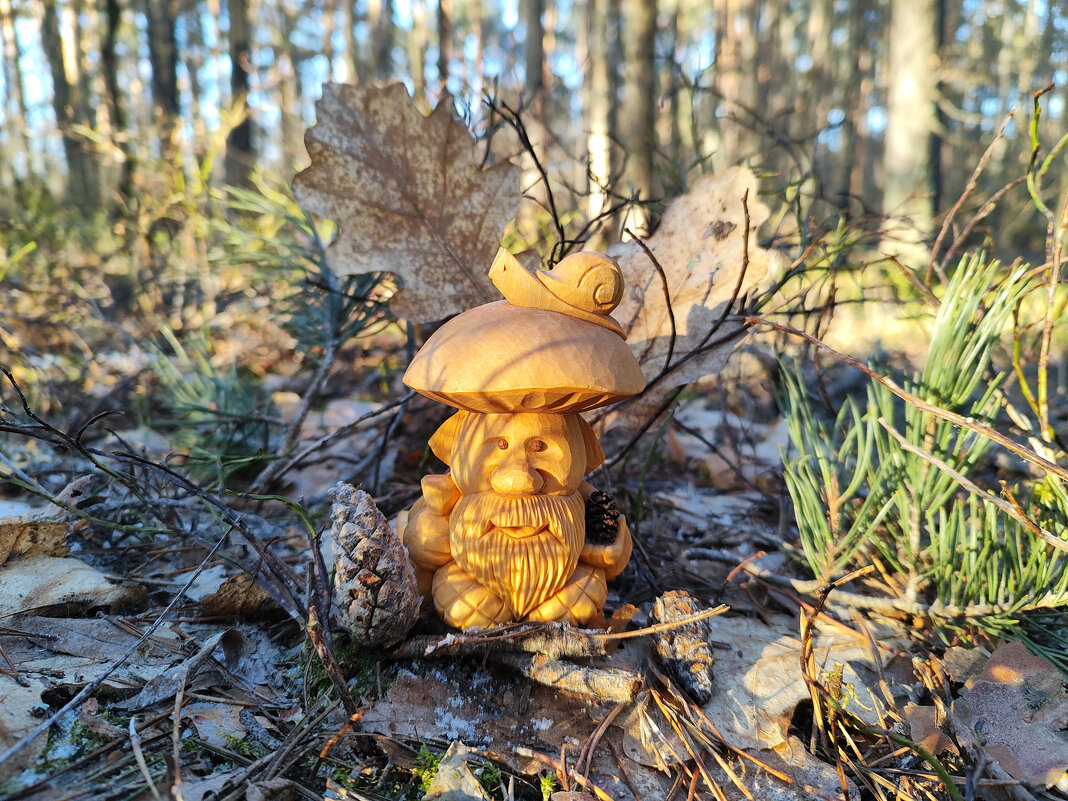 Лесовичок Алексий - Денис Бочкарёв Лесовичок Алексий - Денис Бочкарёв