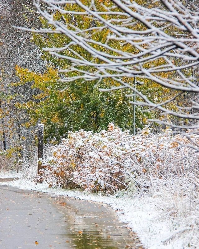 Первый снег Казань - Нина Колгатина Первый снег Казань - Нина Колгатина