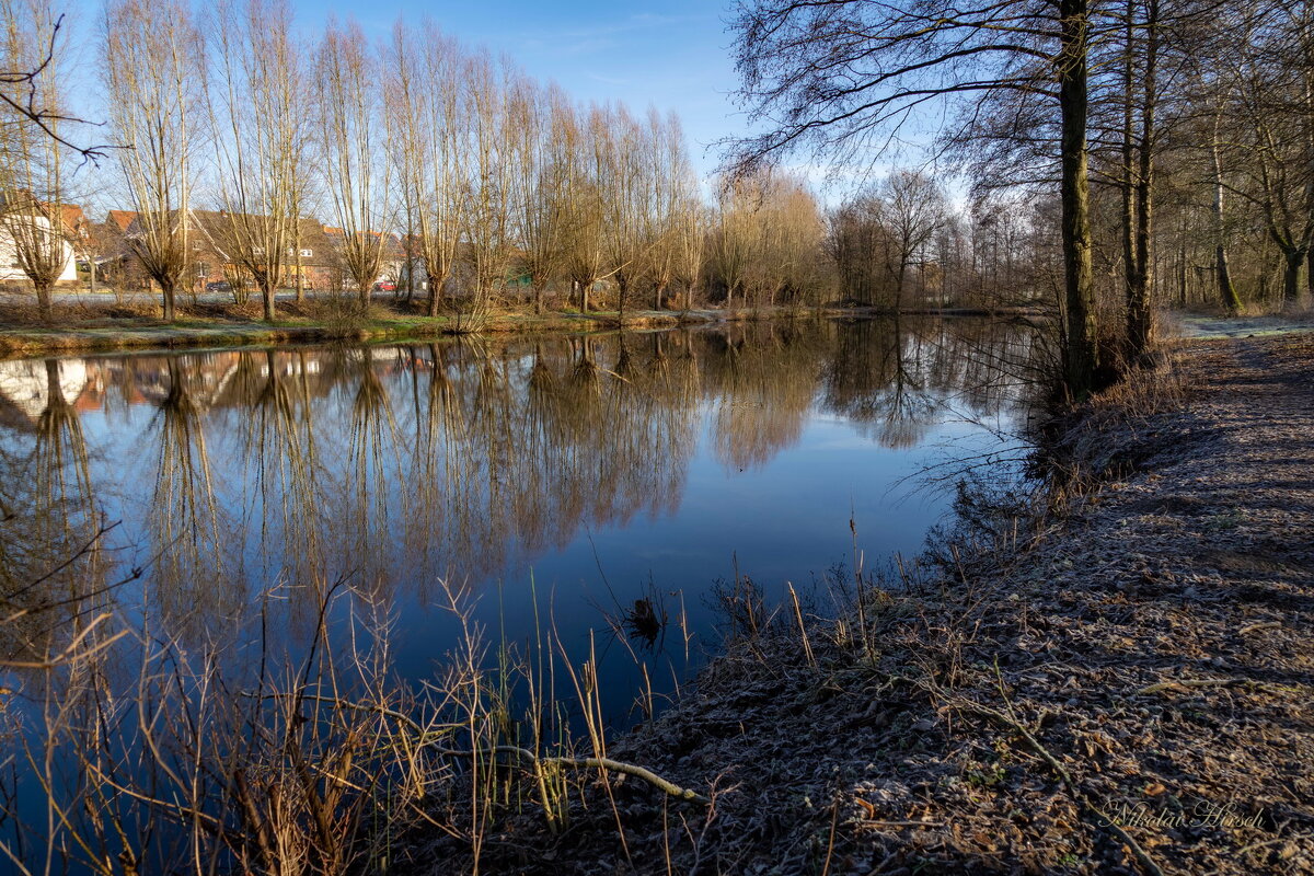 *** - Николай Гирш *** - Николай Гирш