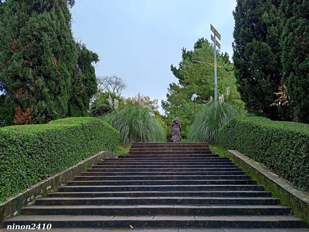 Адлер. Дендропарк "Южные культуры" - Нина Бутко