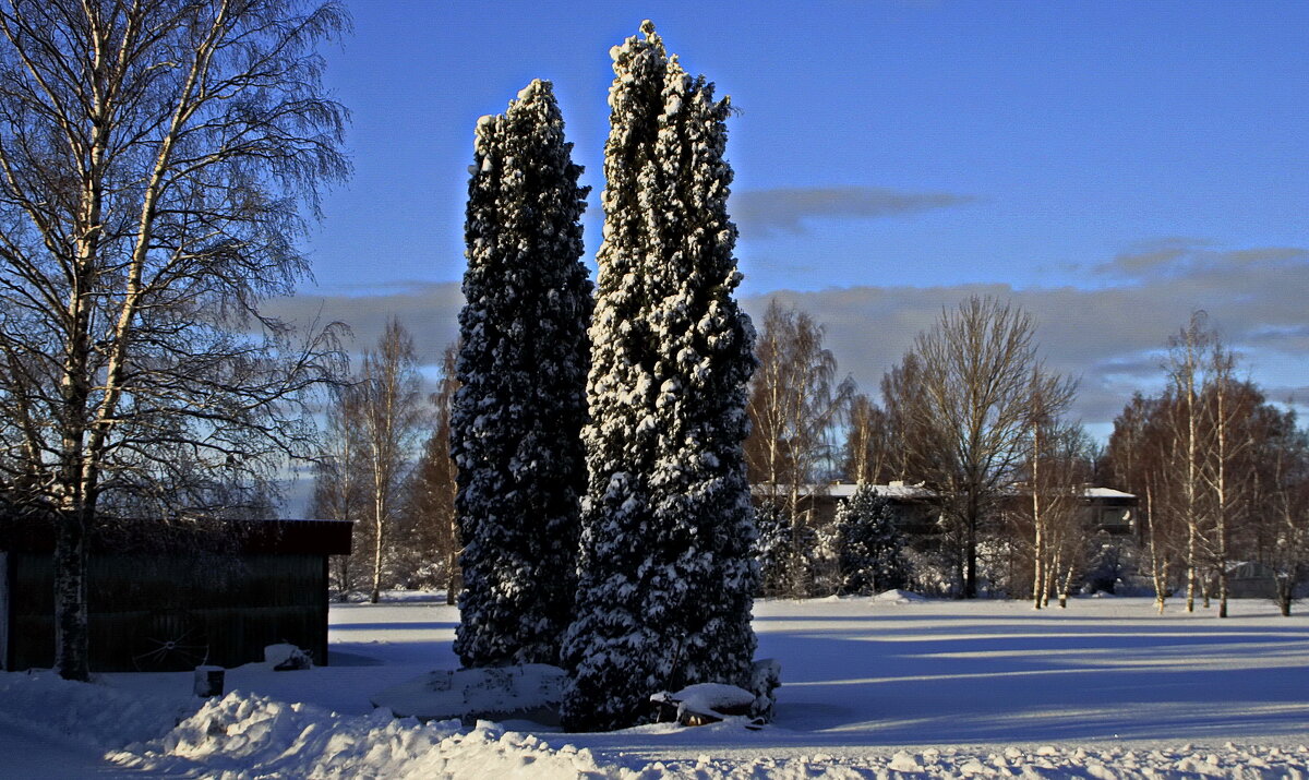 Зимняя картинка :) - Татьян@ Ивановна