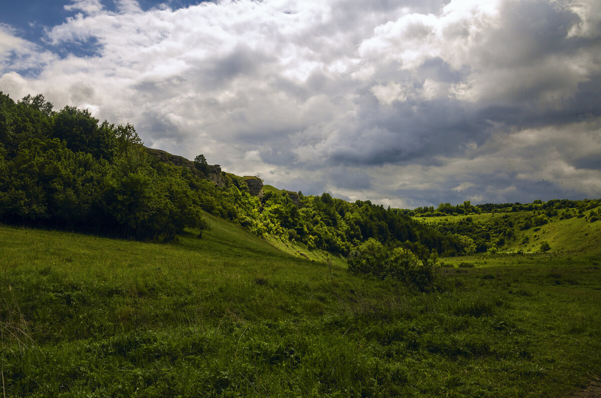 Воргол - Березуцкий Александр (nevant60) Воргол - Березуцкий Александр (nevant60)