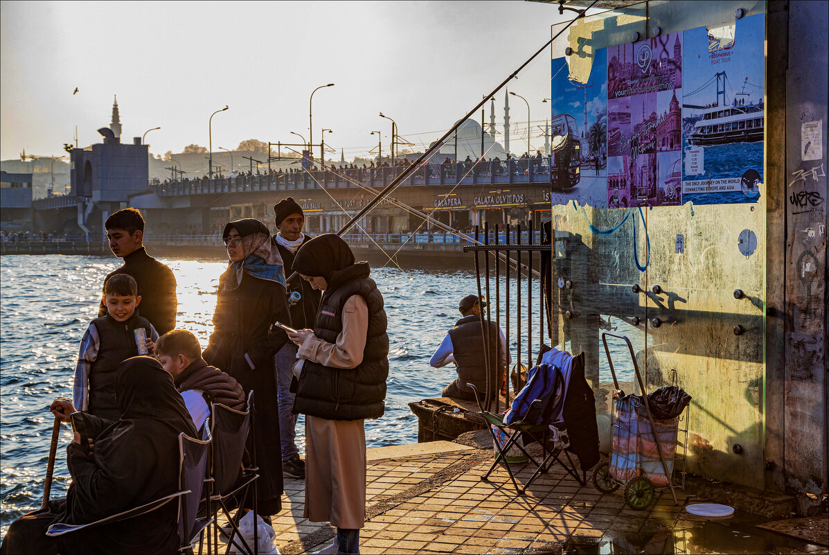 ... - Елена Демидова ... - Елена Демидова