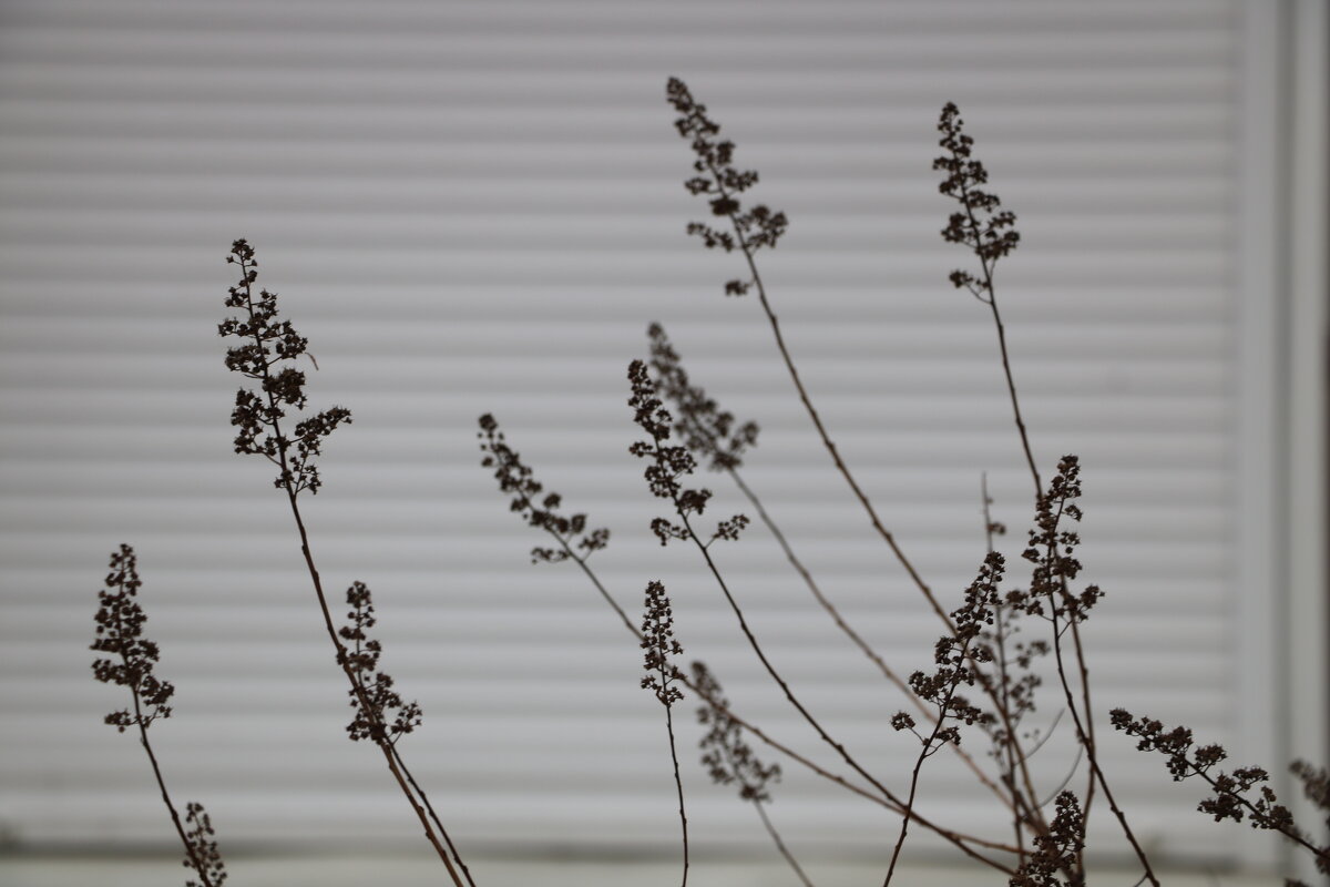 В феврале - Светлана 