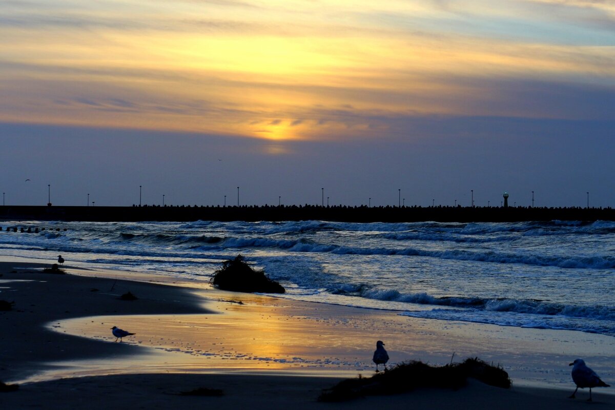 На море опускался вечер. Он горизонту лег на плечи. - Юрий. Шмаков