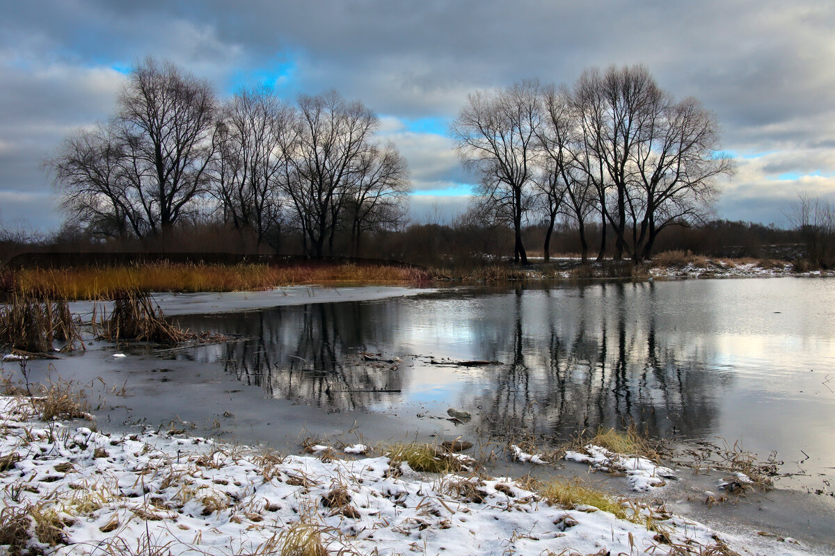 Заводь - Евгений 