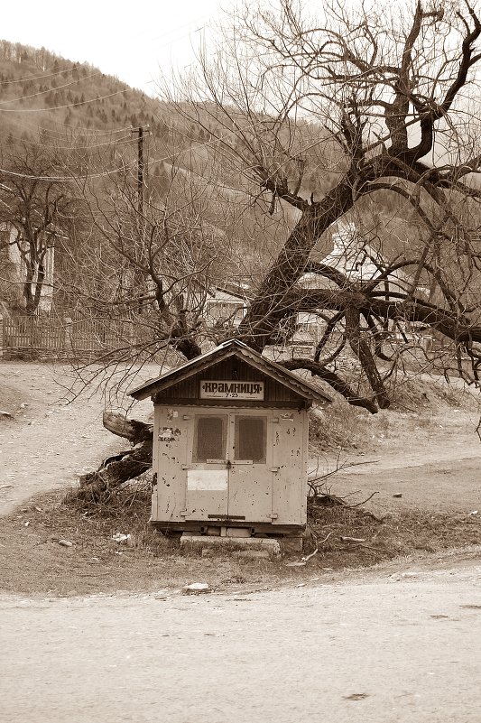 Прикарпатский супермаркет - Ася Ко