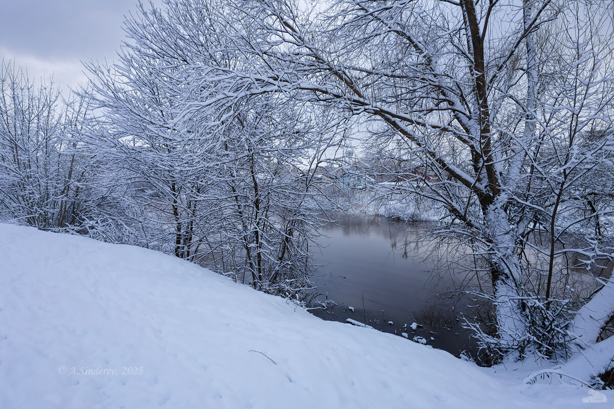 Кусты на берегу зимней реки - Александр Синдерёв
