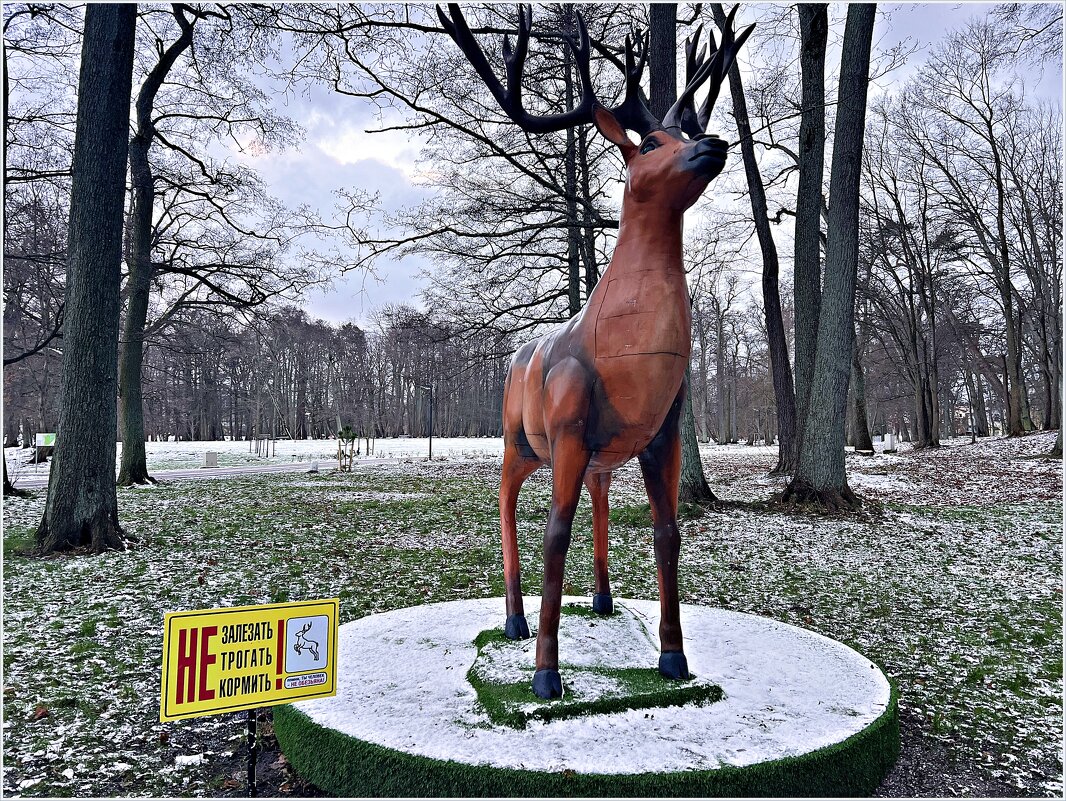 Олень в парке. - Валерия Комова Олень в парке. - Валерия Комова