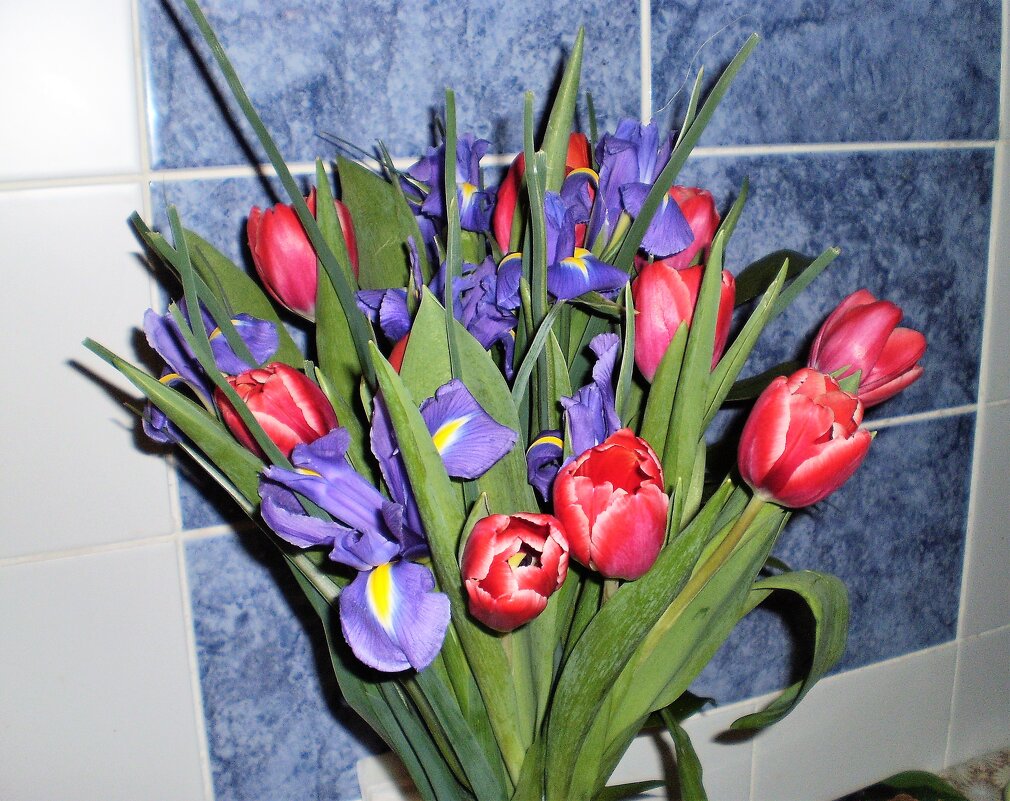 Мой дом. - Венера Чуйкова