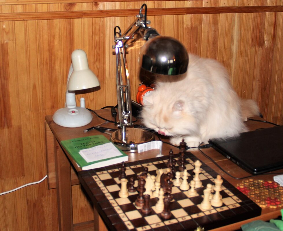 Мой дом. - Венера Чуйкова Мой дом. - Венера Чуйкова