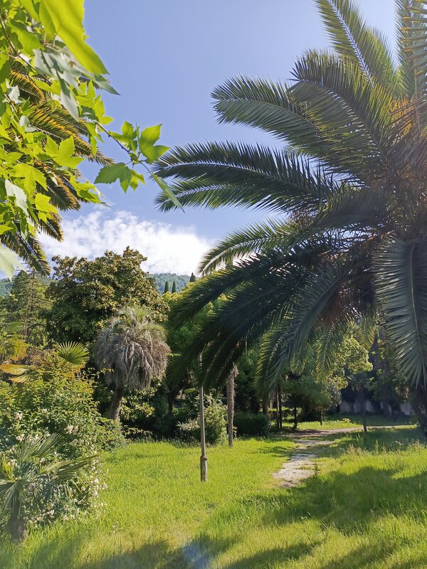 Новый Афон - Татьяна Пальчикова Новый Афон - Татьяна Пальчикова