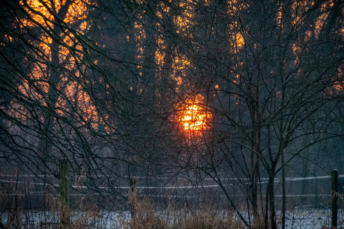 Заходящее солнце... - Николай Гирш Заходящее солнце... - Николай Гирш