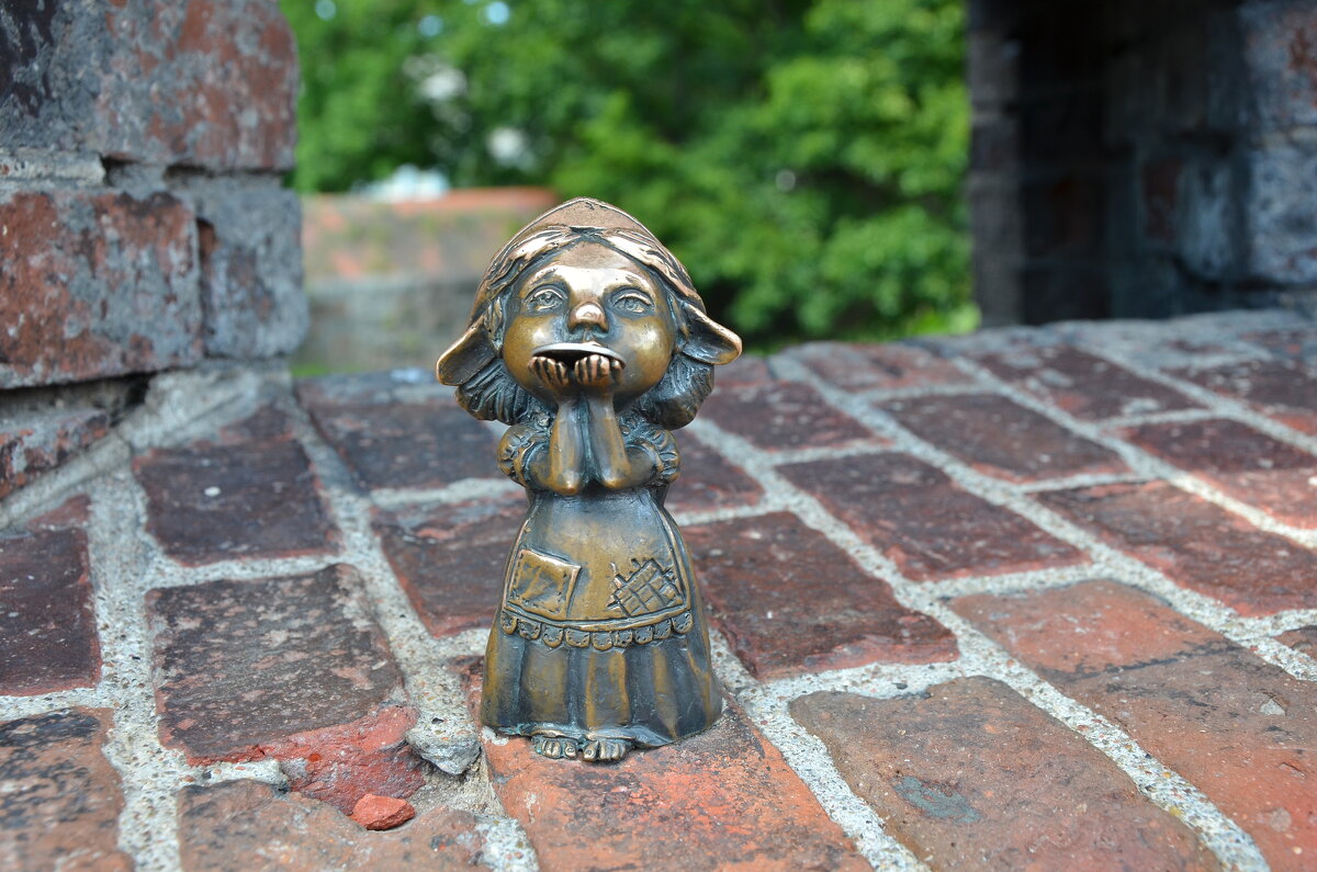 Хомлин мама в Калининграде - Алексей Просвиряков Хомлин мама в Калининграде - Алексей Просвиряков