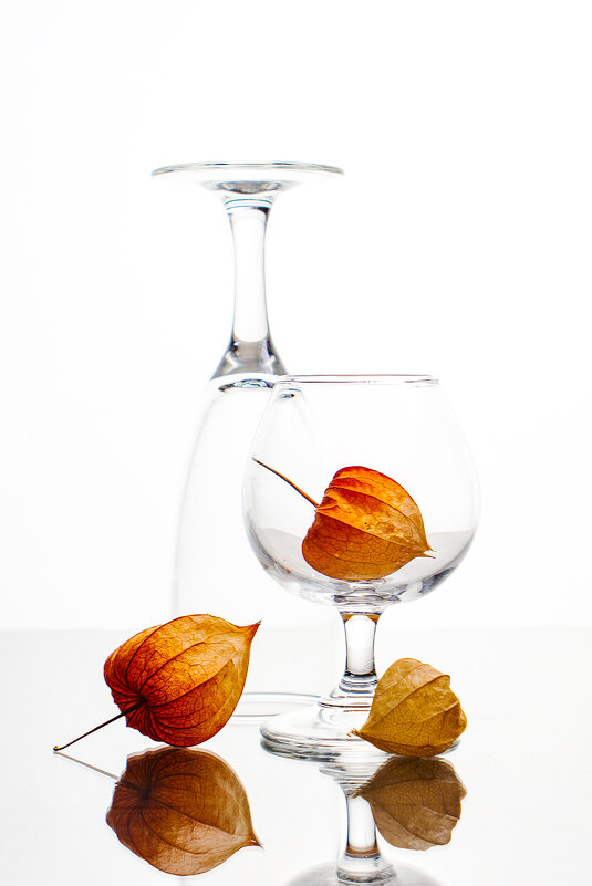 натюрморт с физалисом - Алексей Чигвинцев